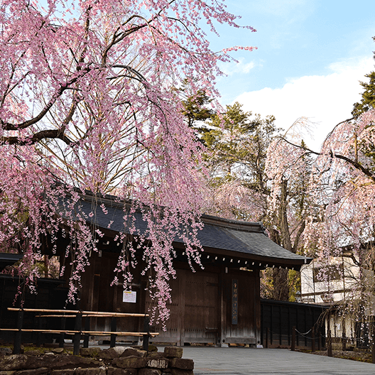 秋田県の画像