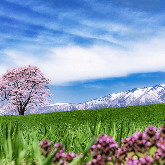 岩手県の画像